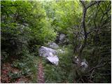 Planina Polog - Batognica